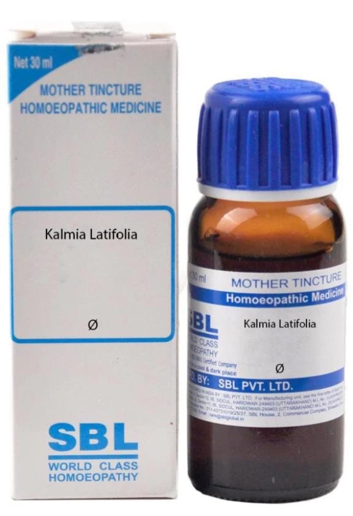 SBL Kalmia Latifolia Mother Tincture Q