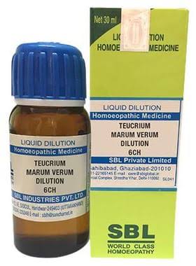 SBL Teucrium Marum Verum Dilution 6 CH