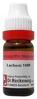 https://medistoreremedy.com/Admin/upload/potency_images/potency_67d17087a3ab0.jpeg