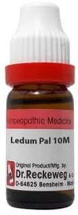 https://medistoreremedy.com/Admin/upload/potency_images/potency_67d1864d5bd12.jpeg