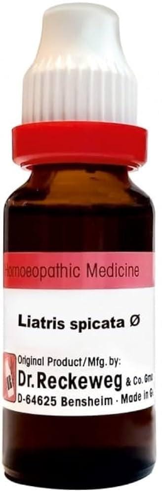 https://medistoreremedy.com/Admin/upload/potency_images/potency_67d1910ab225b.jpeg