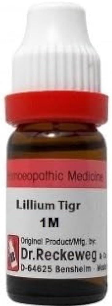 https://medistoreremedy.com/Admin/upload/potency_images/potency_67d19976d51a7.jpeg
