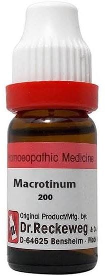 https://medistoreremedy.com/Admin/upload/potency_images/potency_67d2e3fc69fd2.jpeg