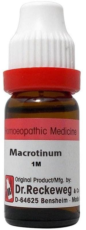 https://medistoreremedy.com/Admin/upload/potency_images/potency_67d2e3fc6a1fa.jpeg