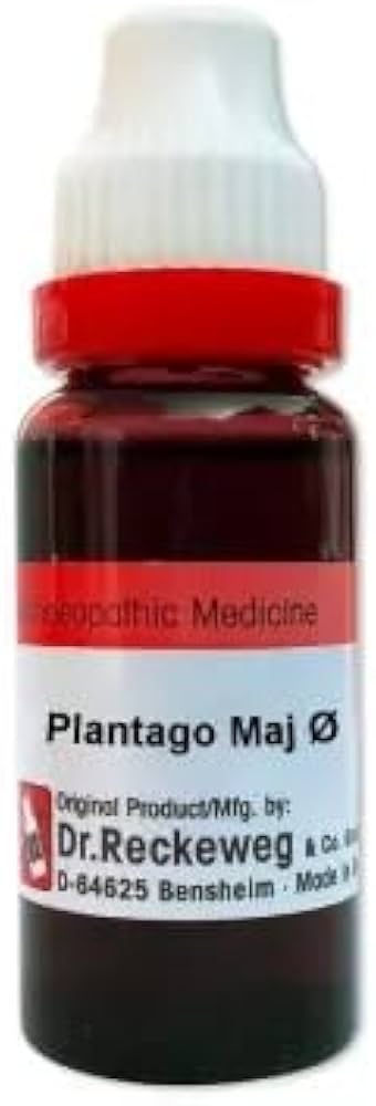 https://medistoreremedy.com/Admin/upload/potency_images/potency_67dbec6f36e28.jpeg