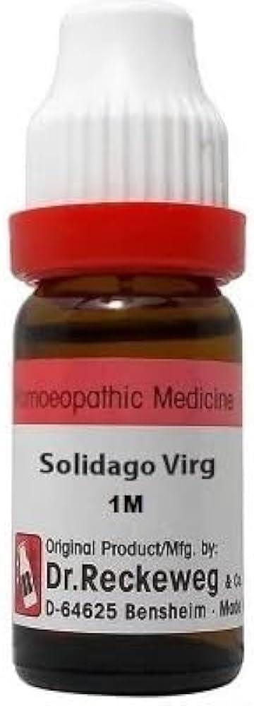 https://medistoreremedy.com/Admin/upload/potency_images/potency_67e016b7e30ec.jpeg