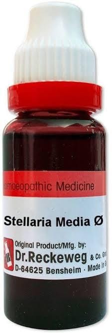 https://medistoreremedy.com/Admin/upload/potency_images/potency_67e546349da38.jpeg