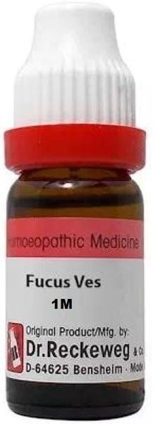 https://medistoreremedy.com/Admin/upload/potency_images/potency_67ebc87ec88cc.jpeg