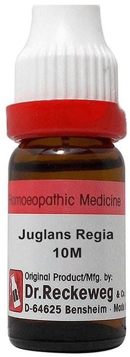 https://medistoreremedy.com/Admin/upload/potency_images/potency_67ebe2941a338.jpeg