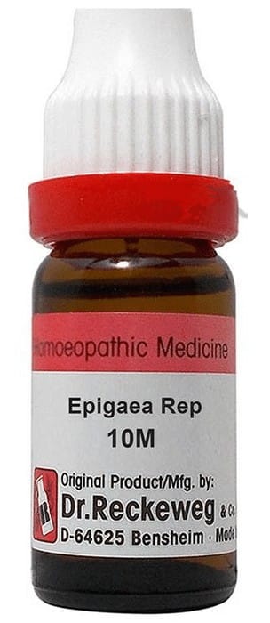 https://medistoreremedy.com/Admin/upload/potency_images/potency_67efbf6318743.jpeg