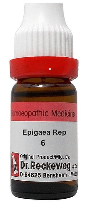 https://medistoreremedy.com/Admin/upload/potency_images/potency_67efbfce66582.jpeg