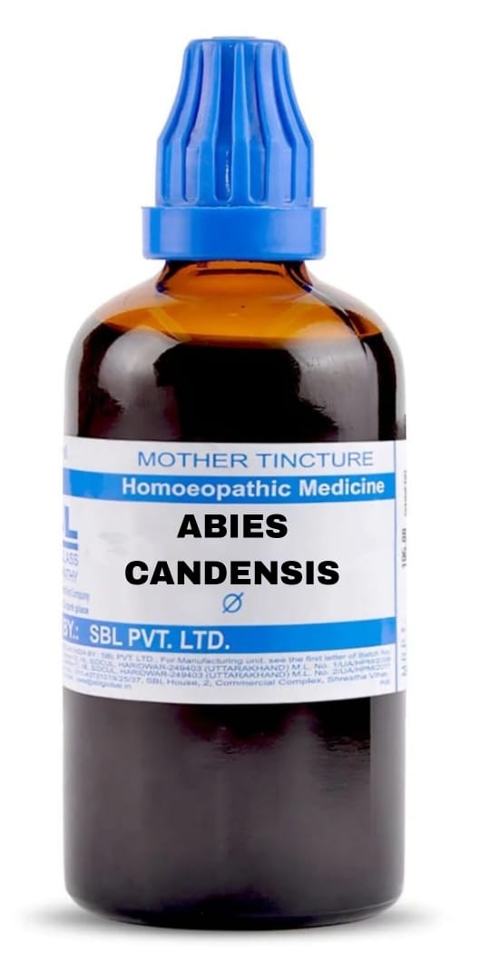 SBL ABIES CANADENSIS MOTHER TINCTURE